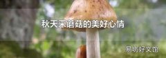秋天采蘑菇的美好心情