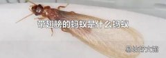 带翅膀的蚂蚁是什么蚂蚁
