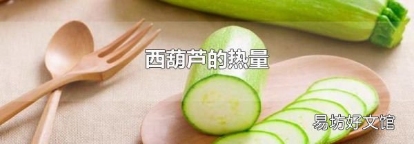 西葫芦的热量
