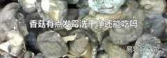 香菇有点发霉洗干净还能吃吗