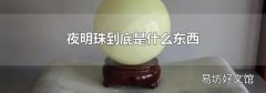 夜明珠到底是什么东西