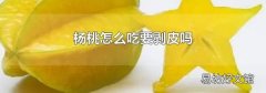 杨桃怎么吃要剥皮吗