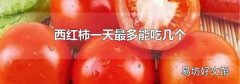 西红柿一天最多能吃几个