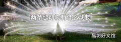 两条腿动物有什么动物