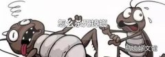 怎么杀死蟑螂
