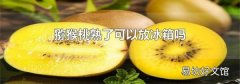 猕猴桃熟了可以放冰箱吗