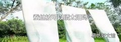 蚕丝被可以晒太阳吗