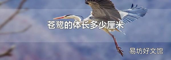 苍鹭的体长多少厘米
