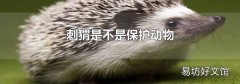 刺猬是不是保护动物