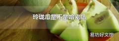 玲珑瓜是不是哈密瓜