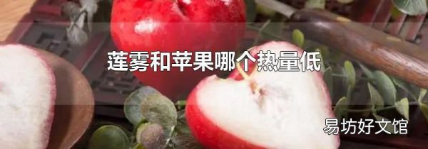 莲雾和苹果哪个热量低