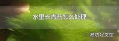 水里长青苔怎么处理