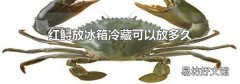 红鲟放冰箱冷藏可以放多久
