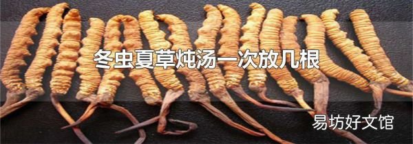 冬虫夏草炖汤一次放几根