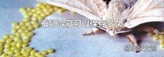 蚕卵冷藏可以保存多久