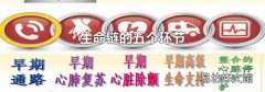 生命链的五个环节