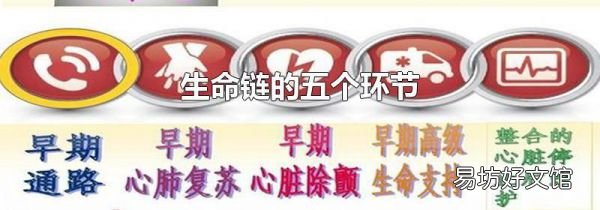 生命链的五个环节