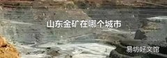 山东金矿在哪个城市