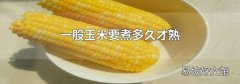 一般玉米要煮多久才熟