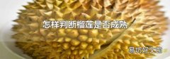 怎样判断榴莲是否成熟