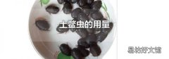 土鳖虫的用量
