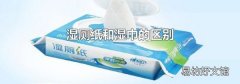 湿厕纸和湿巾的区别