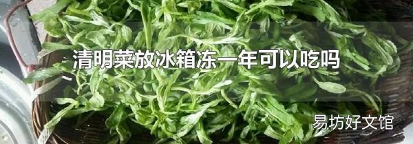 清明菜放冰箱冻一年可以吃吗