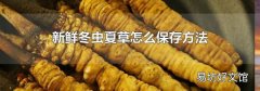 新鲜冬虫夏草怎么保存方法
