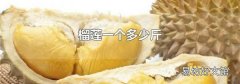 榴莲一个多少斤