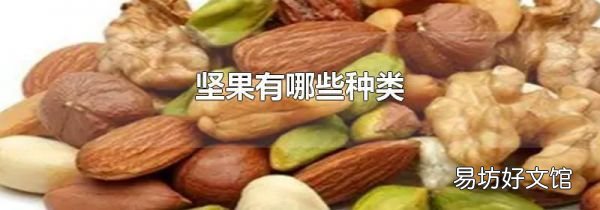 坚果有哪些种类
