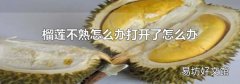 榴莲不熟怎么办打开了怎么办