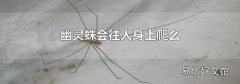 幽灵蛛会往人身上爬么
