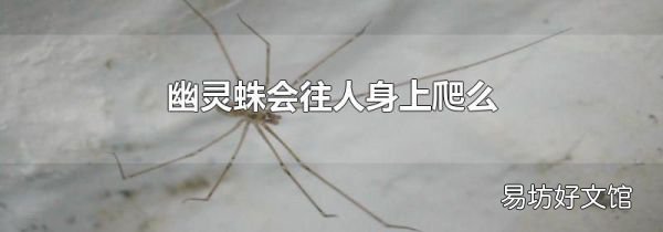 幽灵蛛会往人身上爬么