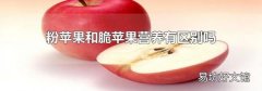 粉苹果和脆苹果营养有区别吗