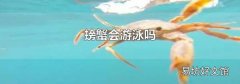 螃蟹会游泳吗