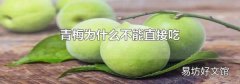 青梅为什么不能直接吃
