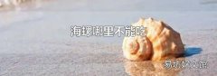 海螺哪里不能吃