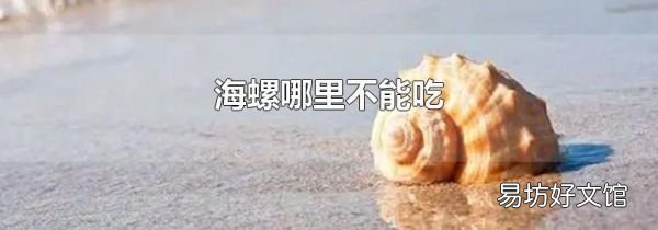 海螺哪里不能吃
