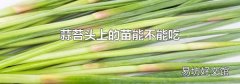蒜苔头上的苗能不能吃