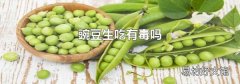 豌豆生吃有毒吗