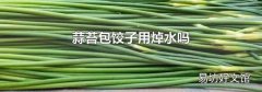蒜苔包饺子用焯水吗