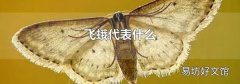 飞蛾代表什么
