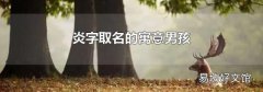 炎字取名的寓意男孩