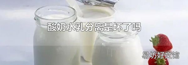 酸奶水乳分离是坏了吗