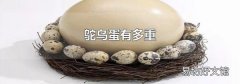 鸵鸟蛋有多重