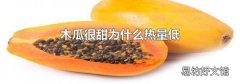 木瓜很甜为什么热量低