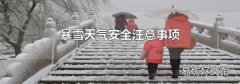 暴雪天气安全注意事项