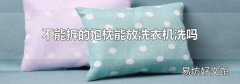 不能拆的抱枕能放洗衣机洗吗