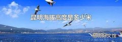 昆明海拔高度是多少米