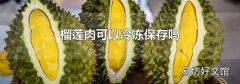 榴莲肉可以冷冻保存吗